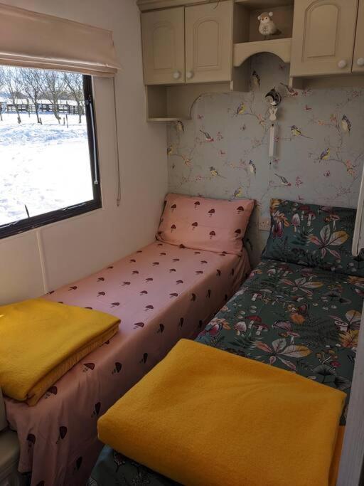 Ferny Roost Cabin. Wrexham Zewnętrze zdjęcie